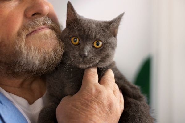 Terapia com Animais