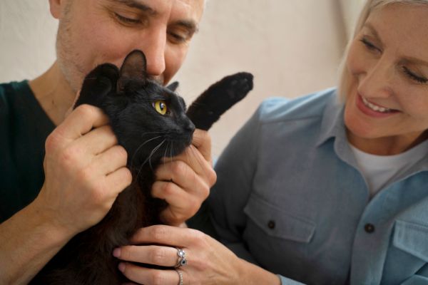 Terapia com Animais